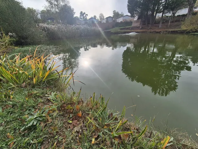 Woodleigh Fishing Lakes — reeds and reflections