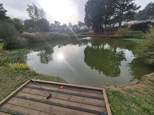 Woodleigh Fishing Lakes — lake and tree-lined bank