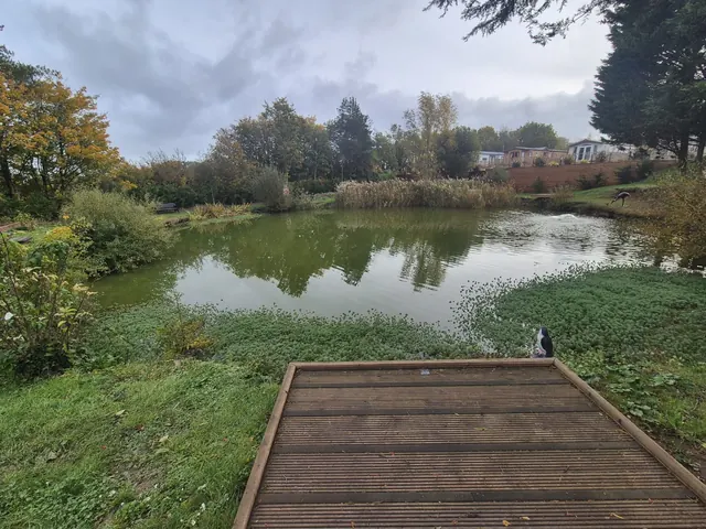 Woodleigh Fishing Lakes — autumn trees beside the lake