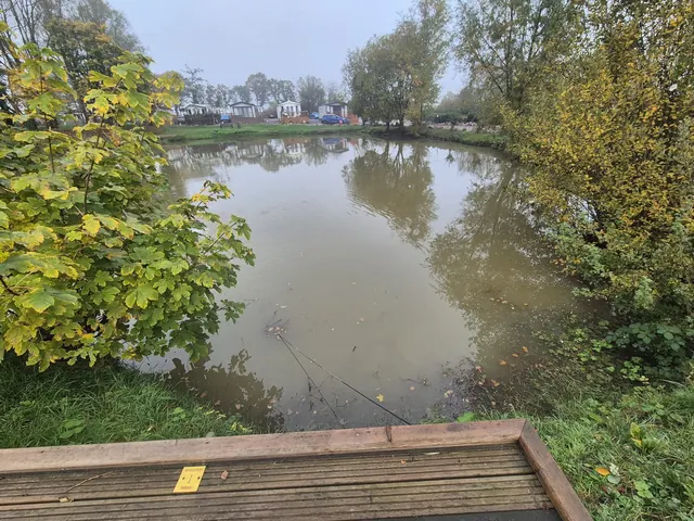 Woodleigh Fishing Lakes — trees beside a fishing platform