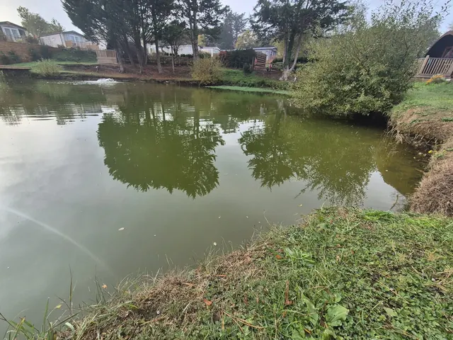 Woodleigh Fishing Lakes — trees and open water