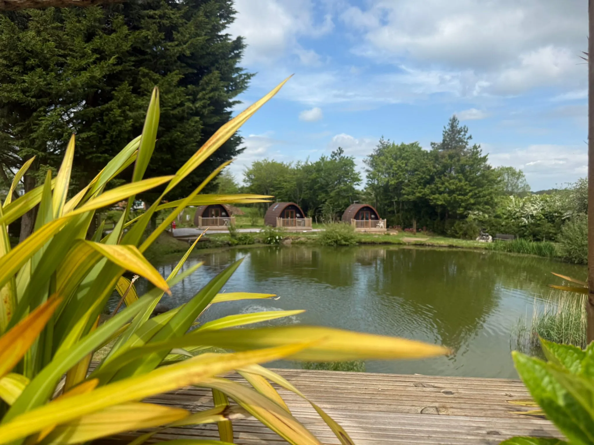 Park image 1